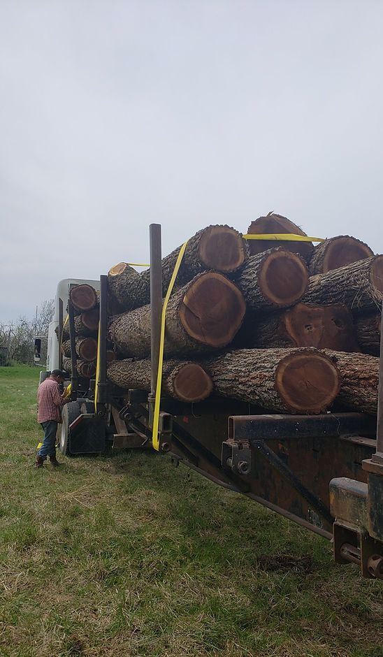 Logs stacked on a flatbed trailer in a grassy field, with a person standing beside them under an overcast sky