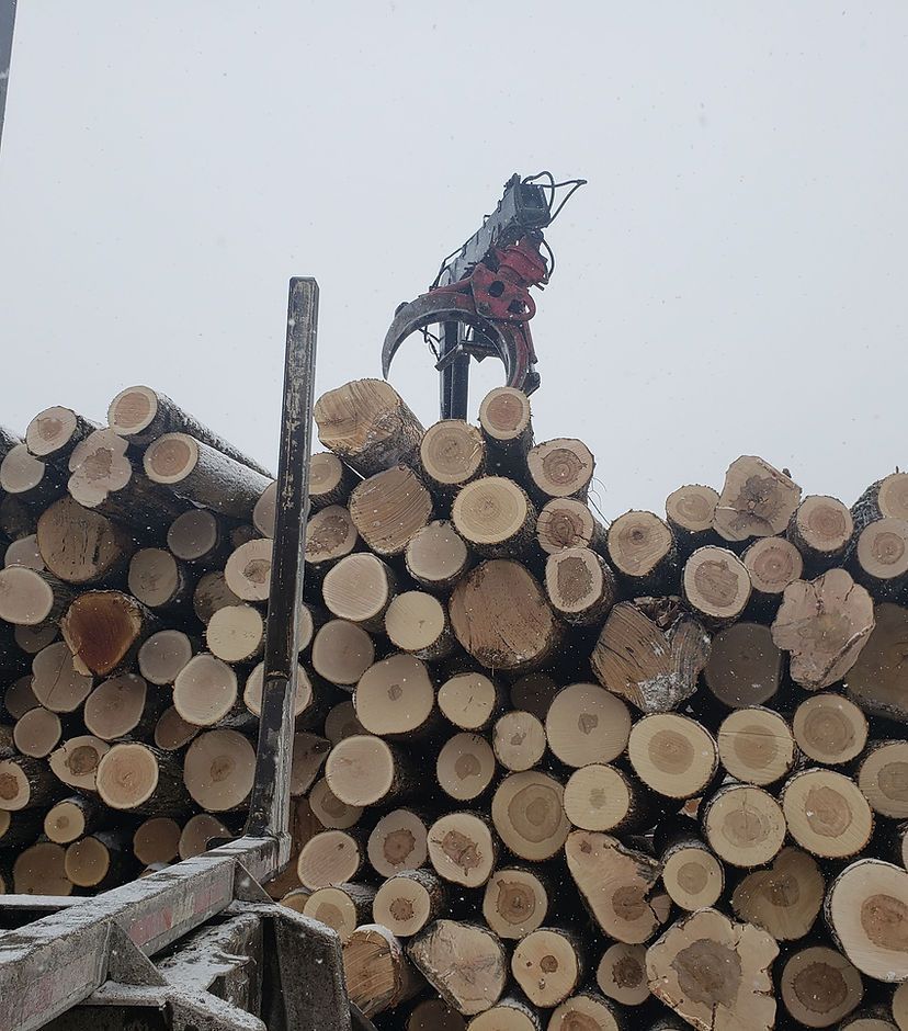 Log loader stacking cut logs on a timber pile under an overcast sky