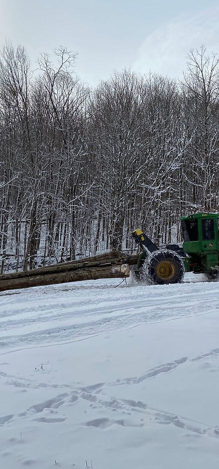Tractor clearing snow on a snowy road beside a leafless forest in winter