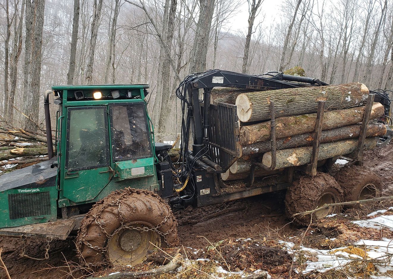 Green logging truck hauling logs through muddy woods in a winter forest