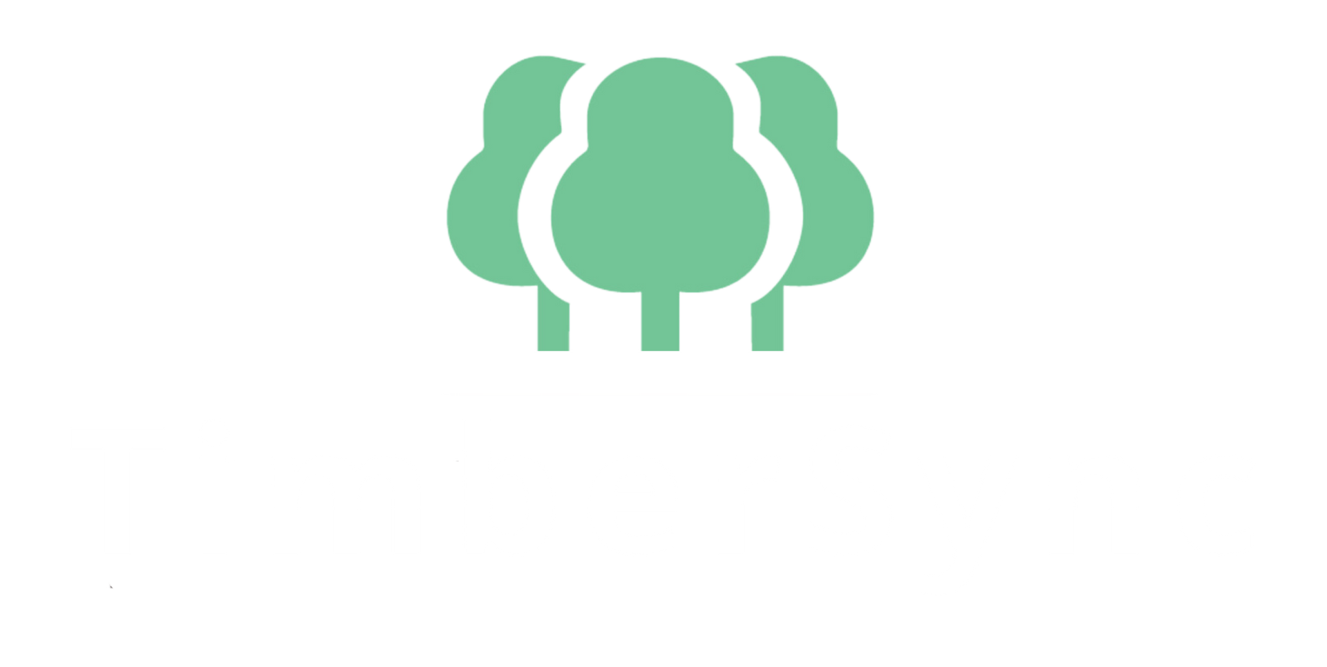TimberSync logo on a white background
