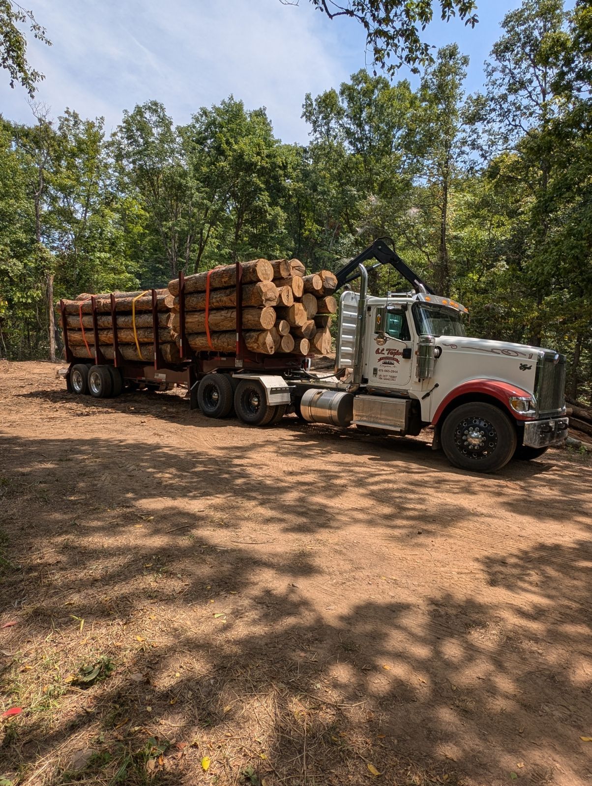 Logging truck loaded with stacked logs parked on a dirt road in a wooded area