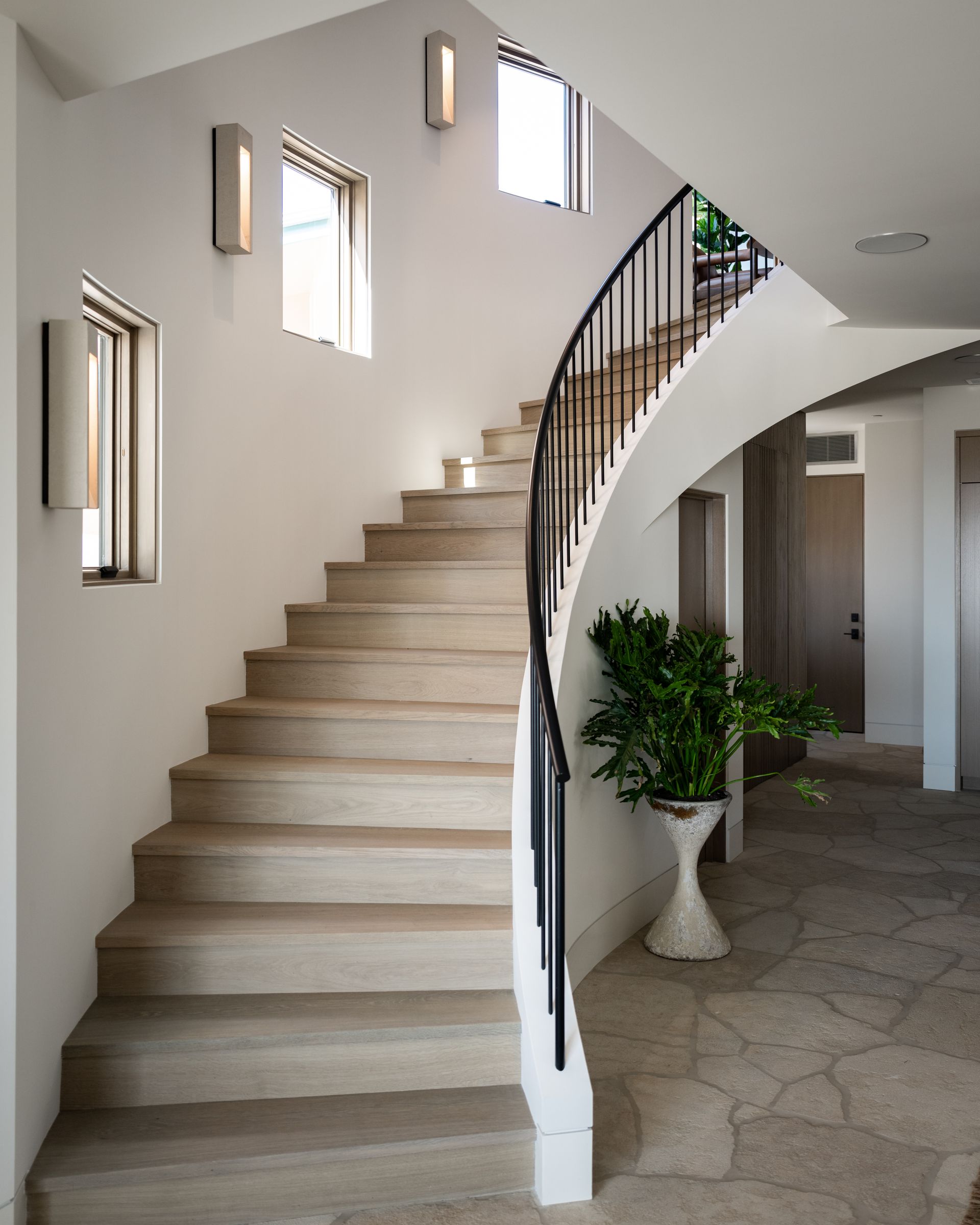 A curved wooden staircase with a black iron railing, next to a large potted plant in a bright, modern interior hallway.