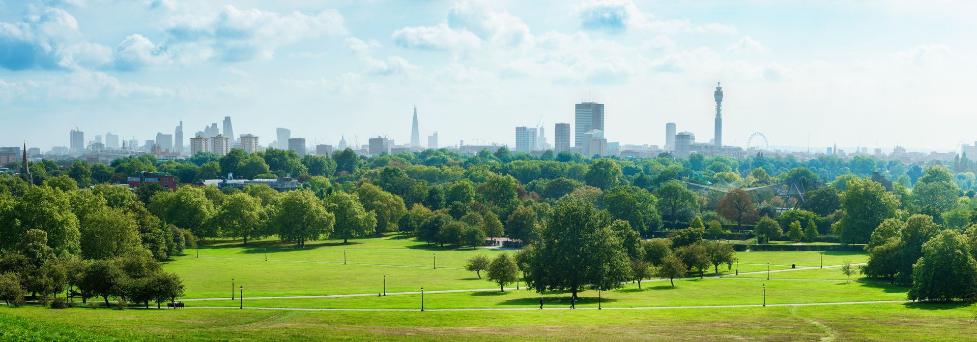 Green park with trees and city skyline in the background under a blue sky.