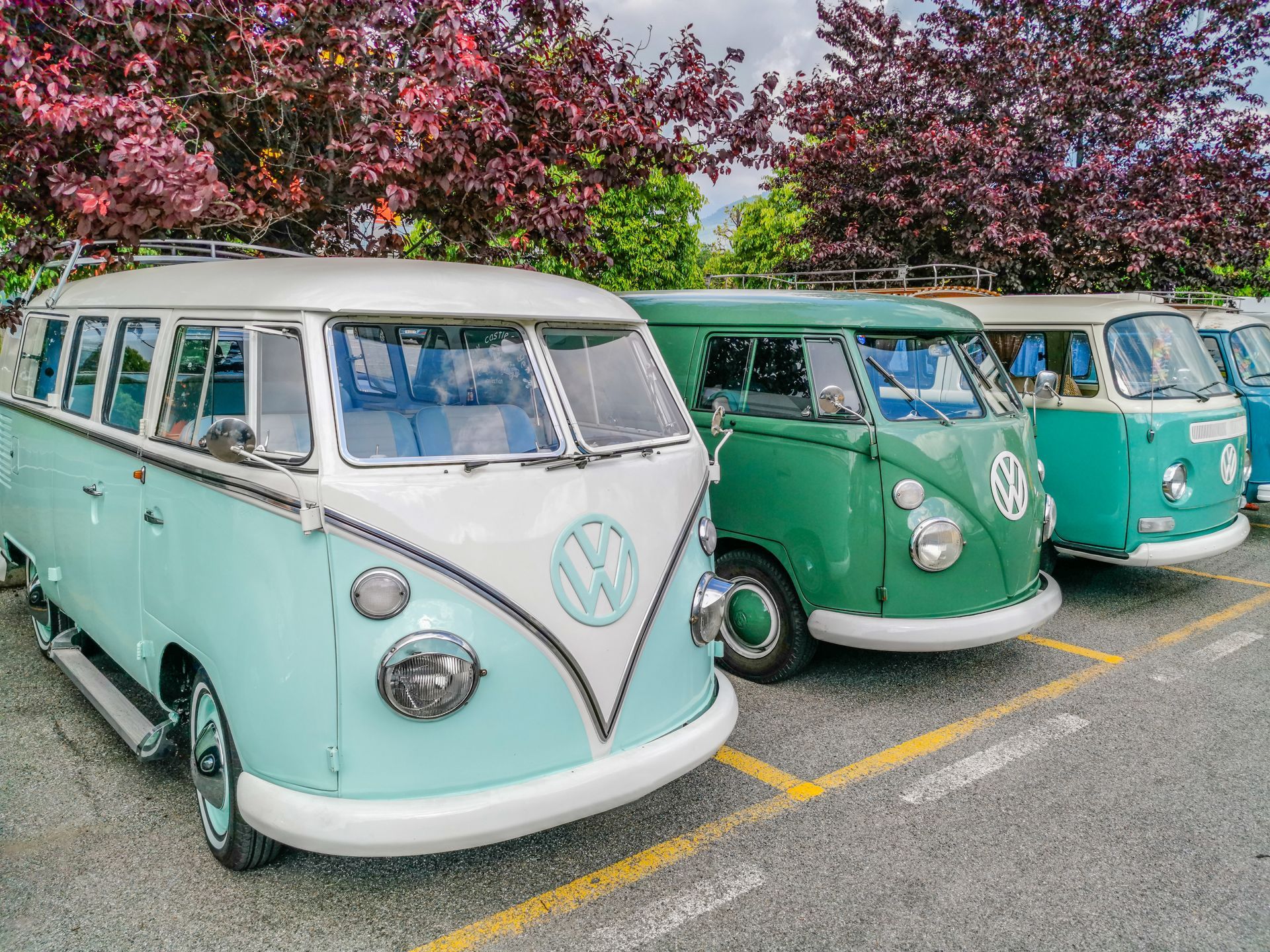 Row of colorful vintage Volkswagen vans parked in front of red-leafed trees.