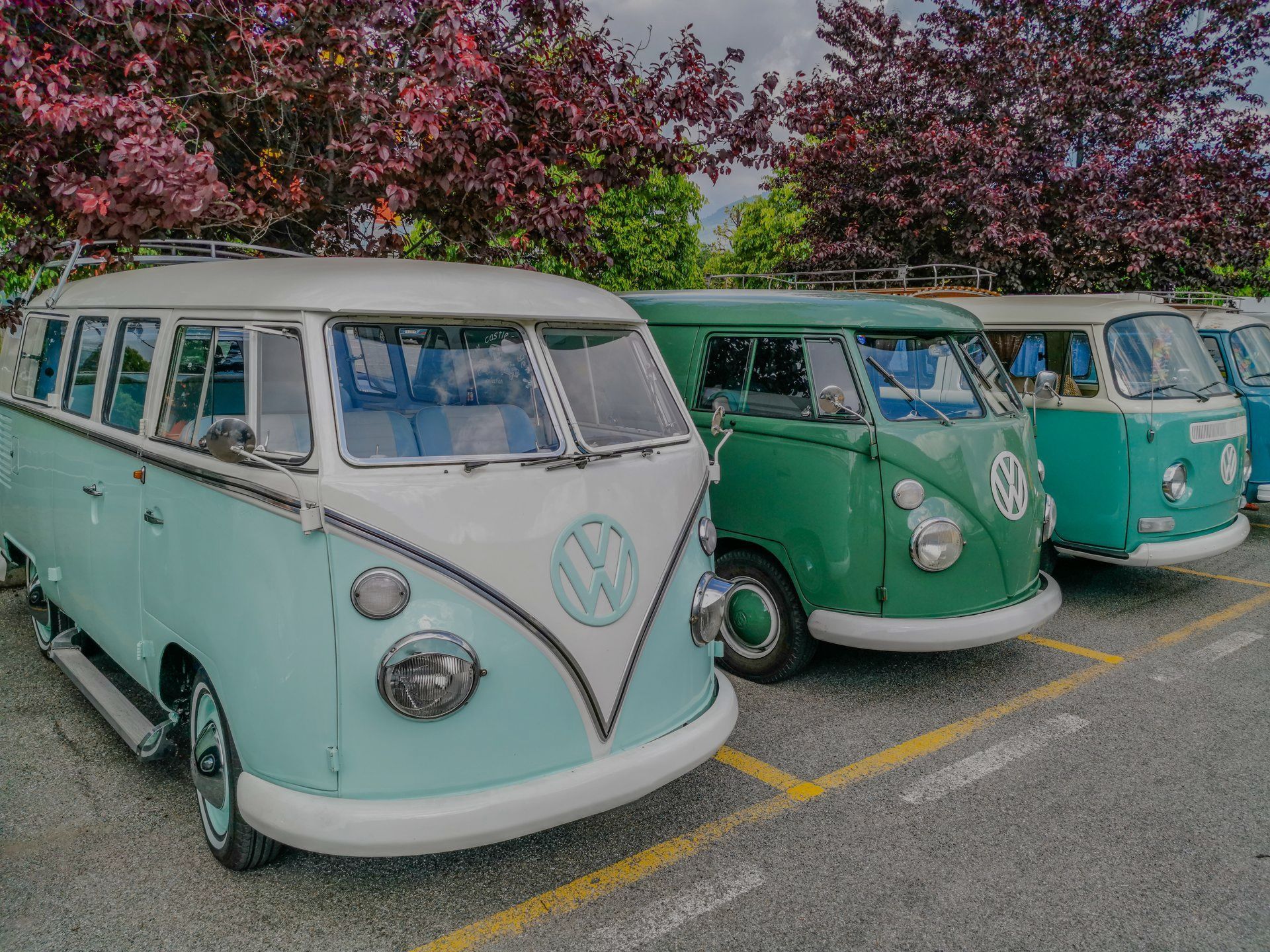 Row of classic Volkswagen vans, in pastel blue, green, and turquoise, parked in a lot.