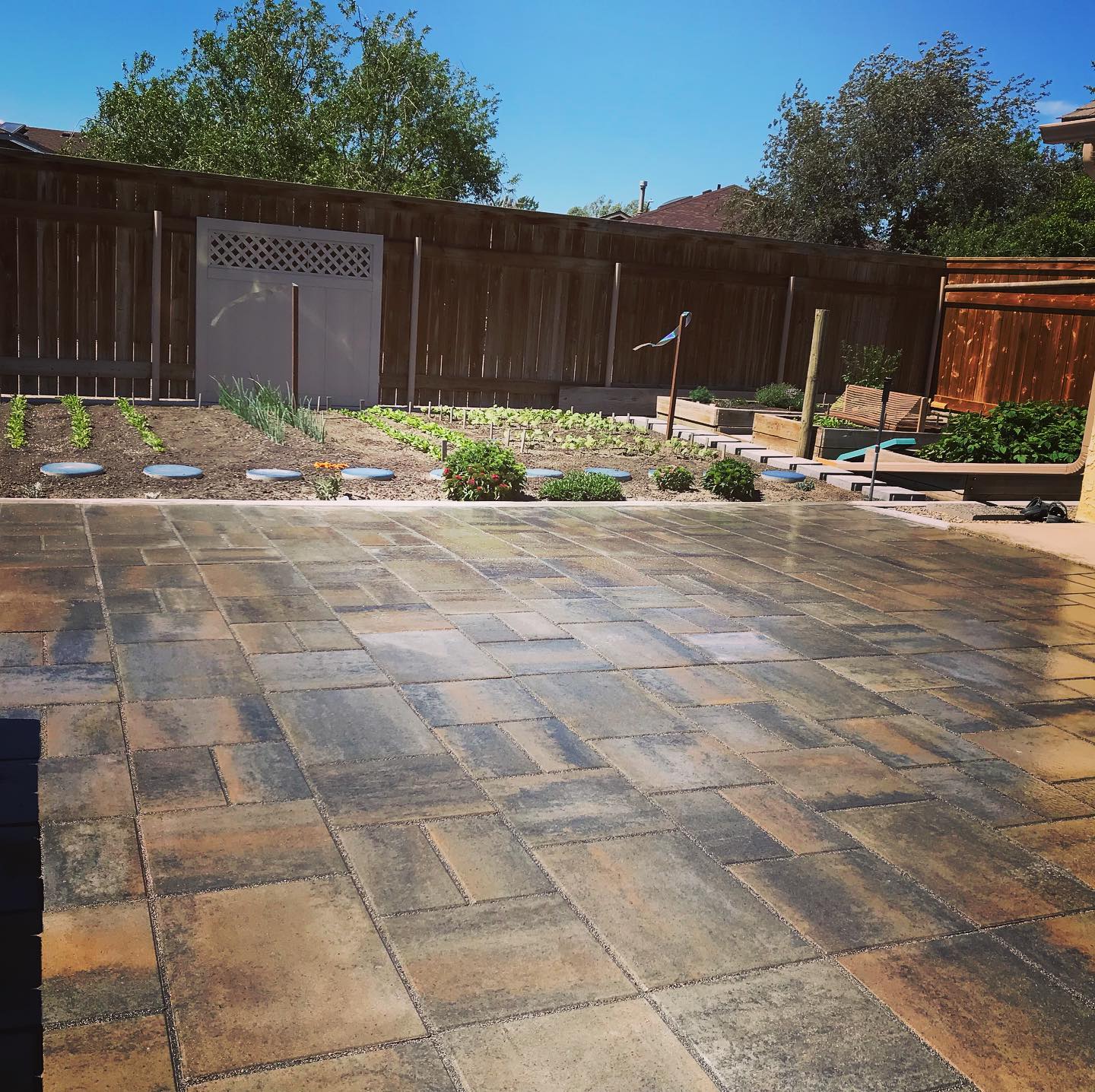 yard landscaped