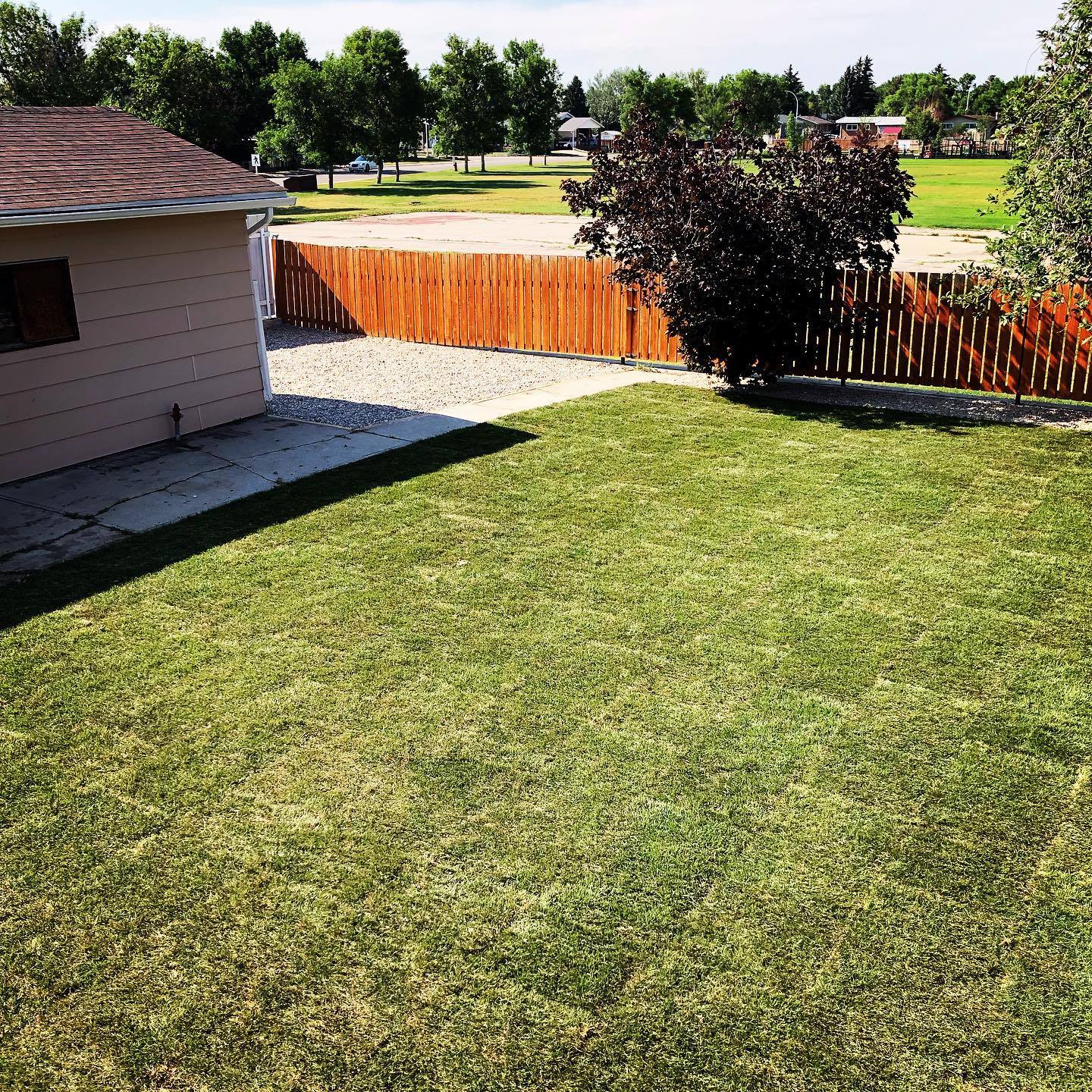 sod installation