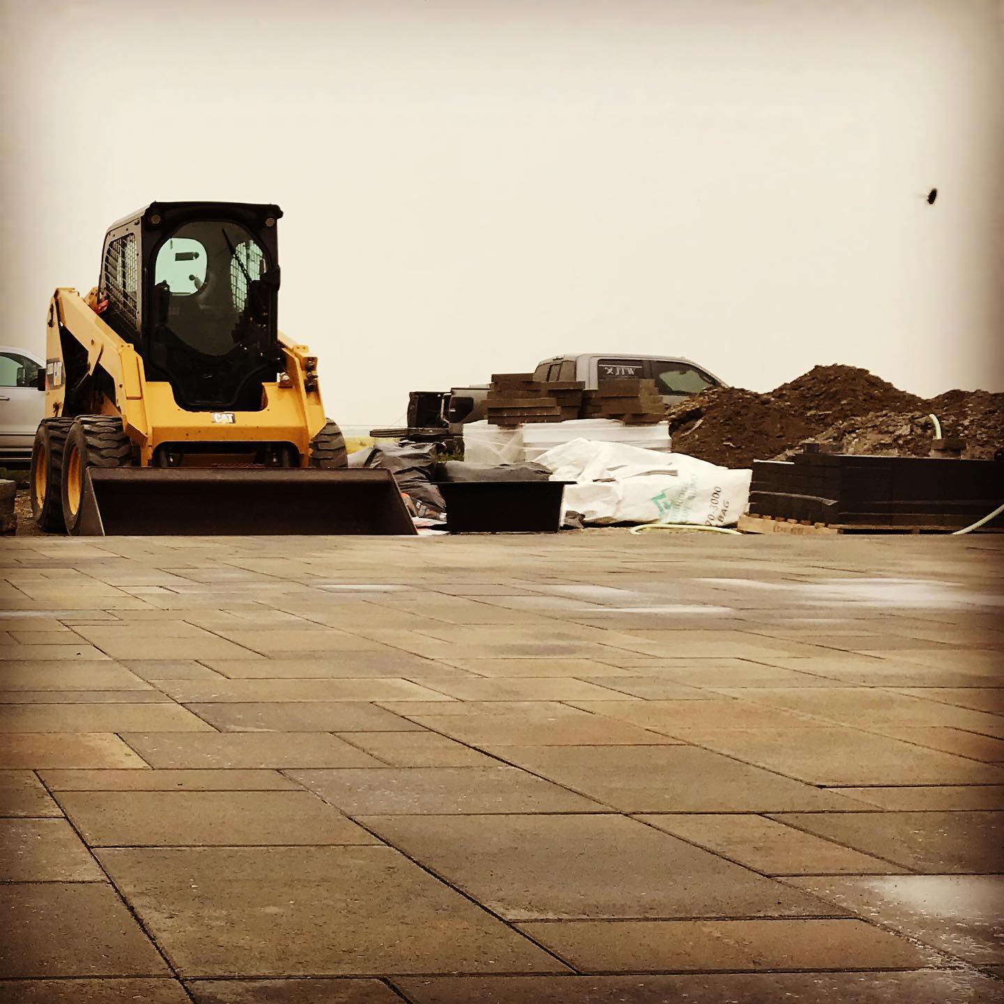 landscaped yard