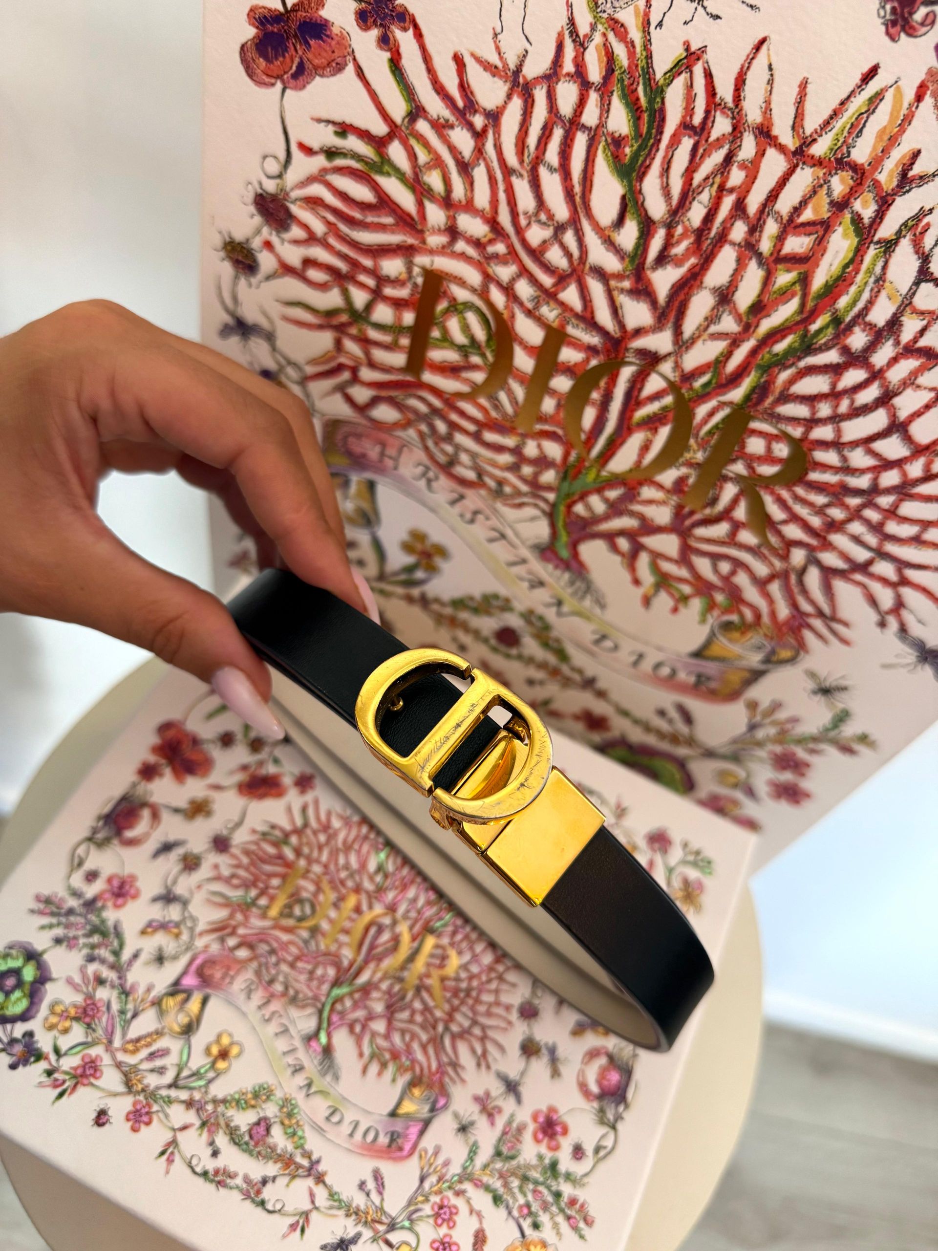 DIOR RIEM