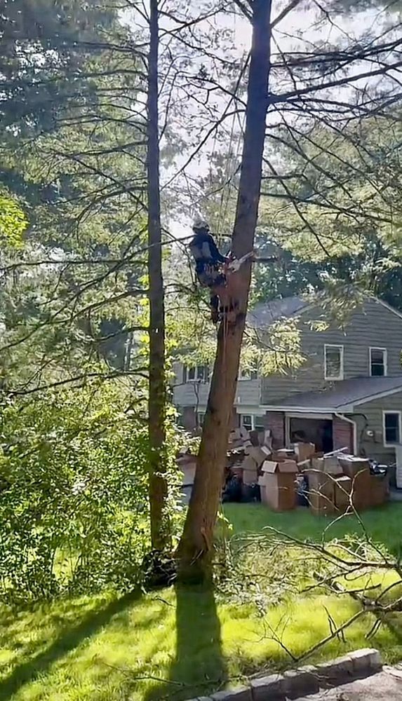 Landscaping Work | Leos Tree and Lawn Service, Inc.