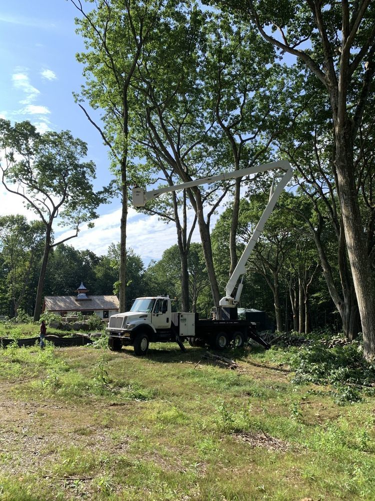 Leos Tree and Lawn Service Inc Photo