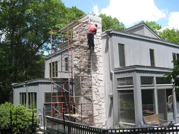 Leos Tree and Lawn Service Inc Tree Gallery Photo
