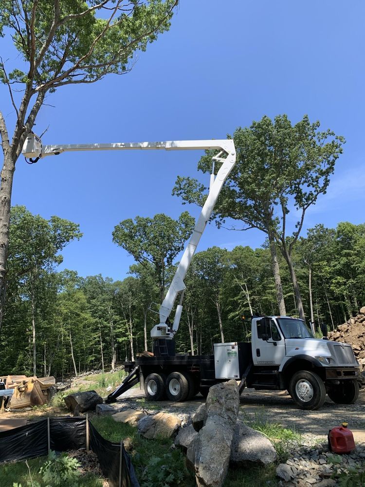 Leos Tree and Lawn Service Inc Photo