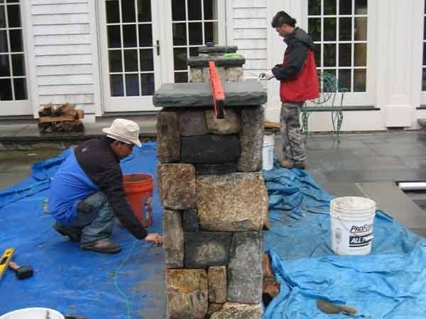Leos Tree and Lawn Service Inc Tree Gallery Photo