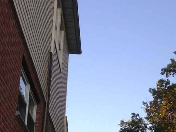Leos Tree and Lawn Service Inc Photo