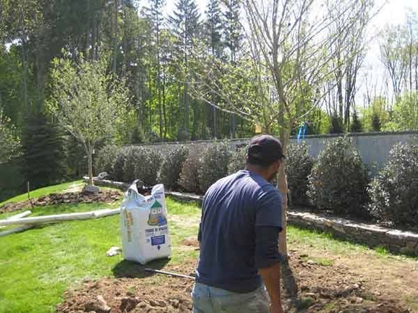 Leos Tree and Lawn Service Inc Photo
