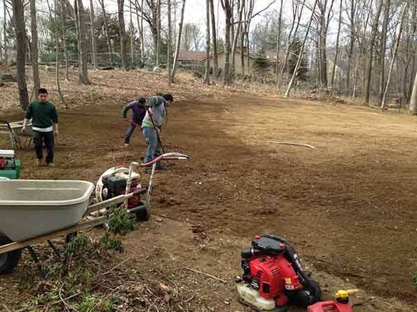 Leos Tree and Lawn Service Inc Photo