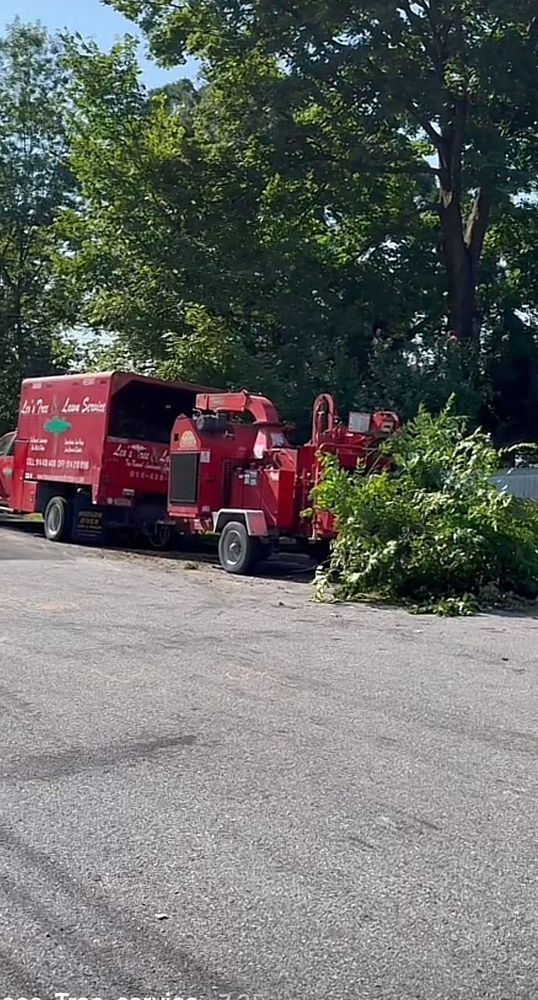 Leos Tree and Lawn Service Inc Photo