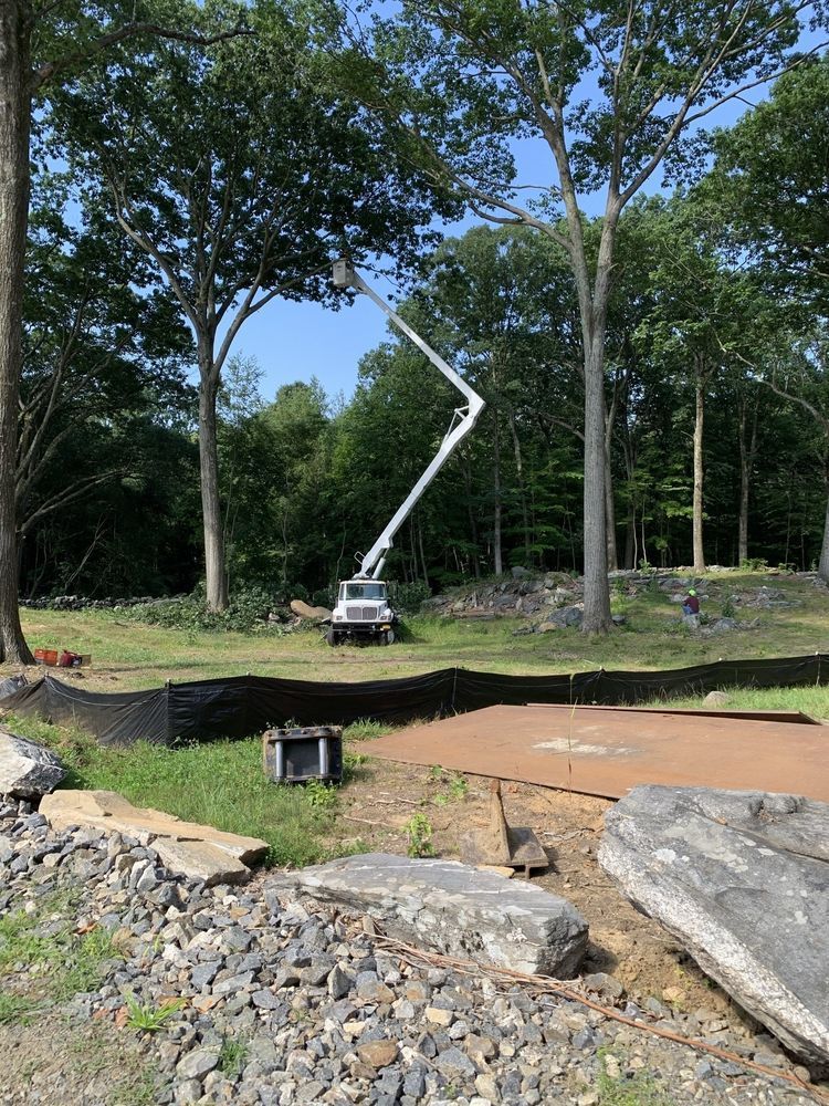 Leos Tree and Lawn Service Inc Photo