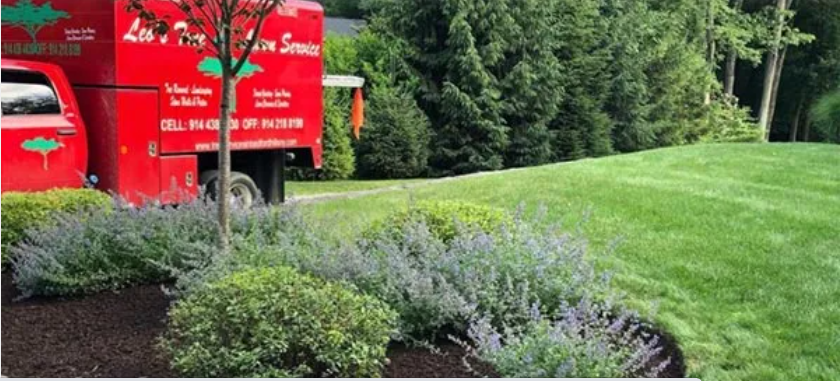 Leos Tree and Lawn Service Inc Landscaping Photo