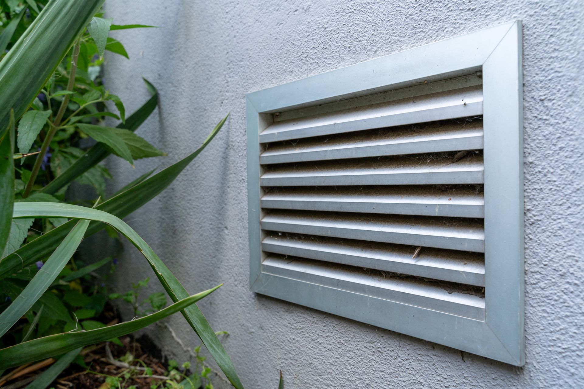 Silver vent on a textured gray wall next to green plants.