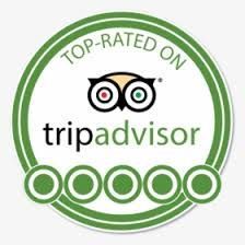 A tripadvisor logo that is green and white