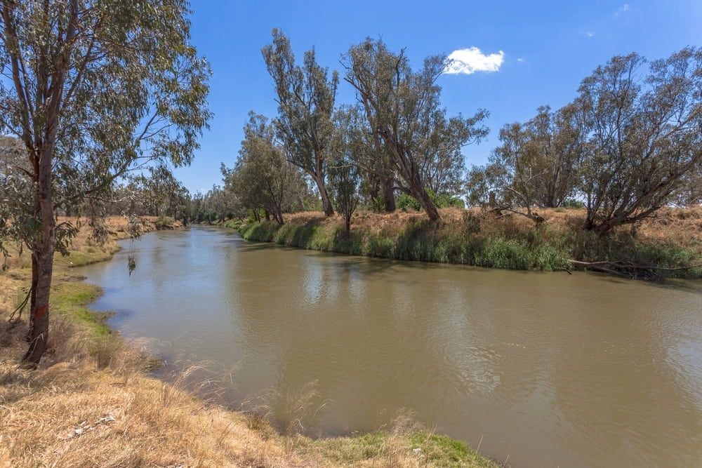 A River Surrounded by Trees and Grass on a Sunny Day — Tamworth Interiors in Gunnedah, NSW