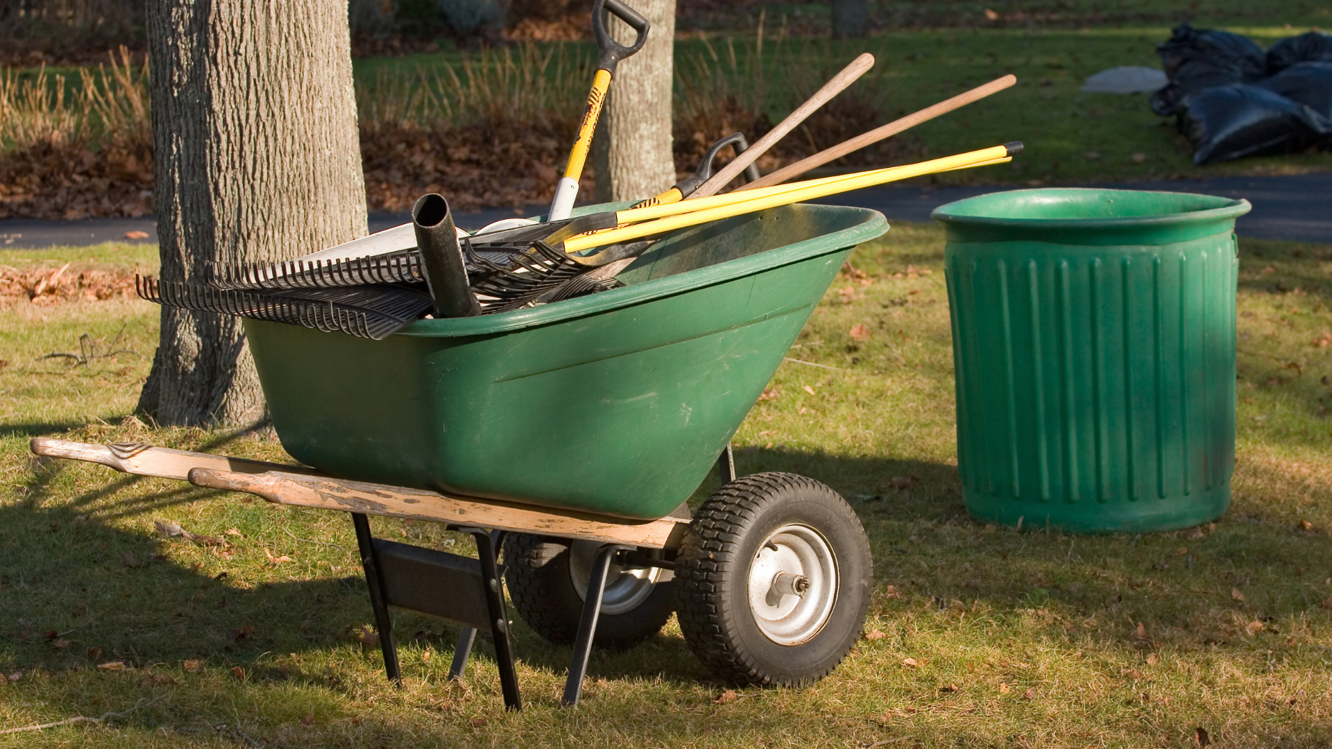 A green wheelbarrow filled with gardening tools next to a green trash can