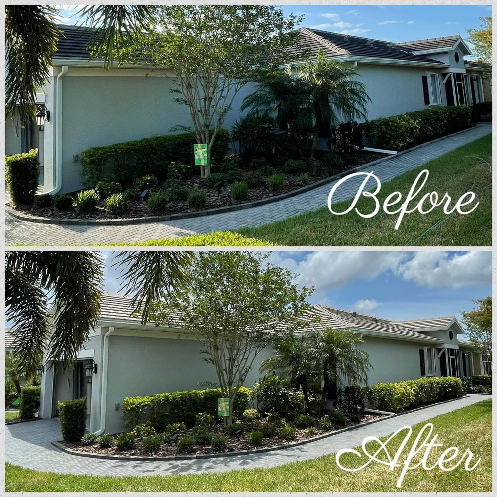 A before and after picture of a house with trees and bushes.