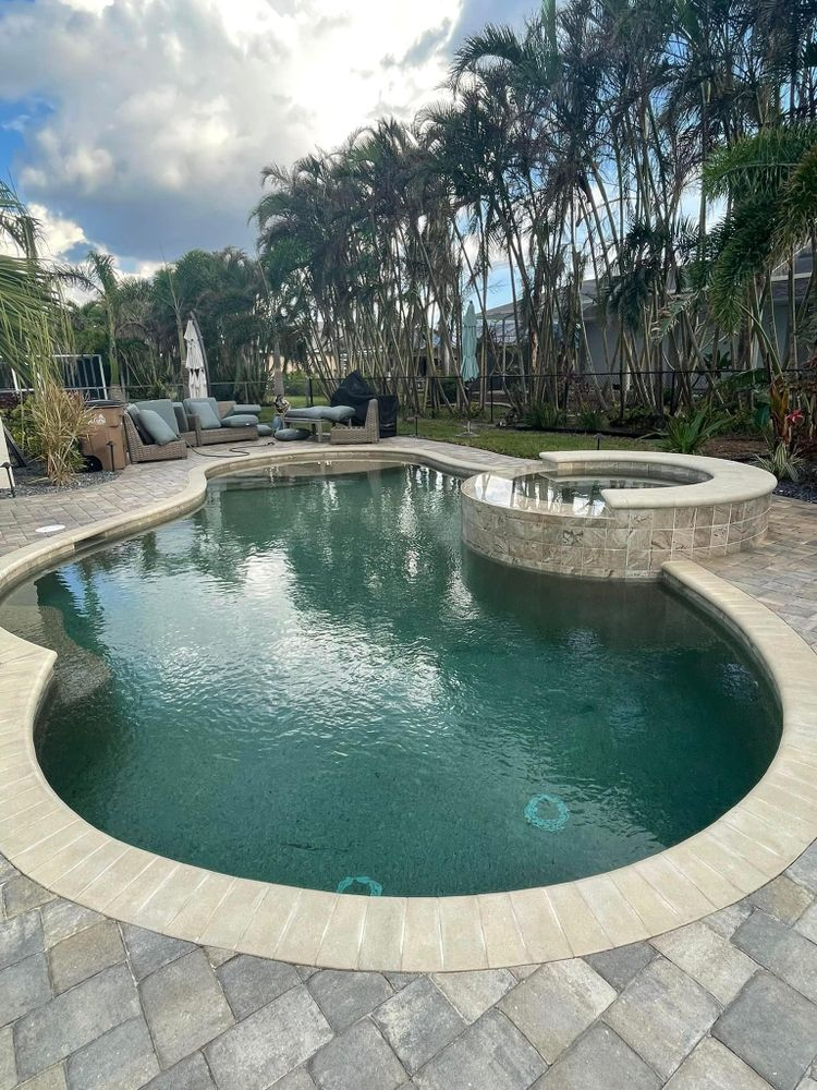 A large swimming pool surrounded by palm trees in a backyard.