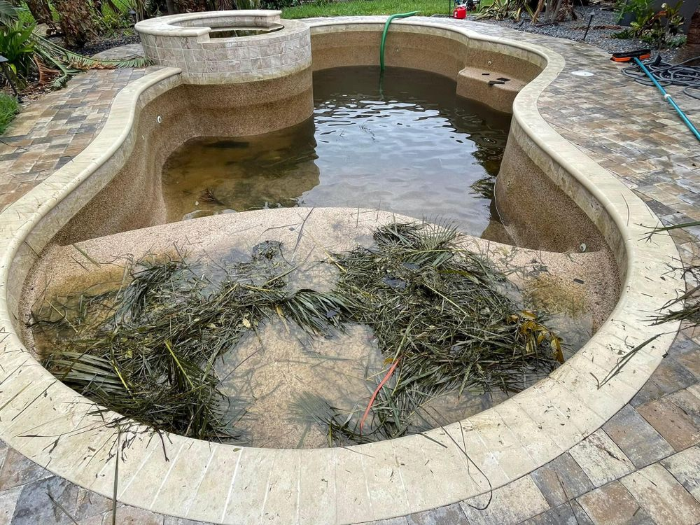 A swimming pool with a lot of algae in it.