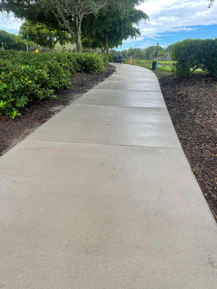 A concrete walkway in a park with trees and bushes on both sides.