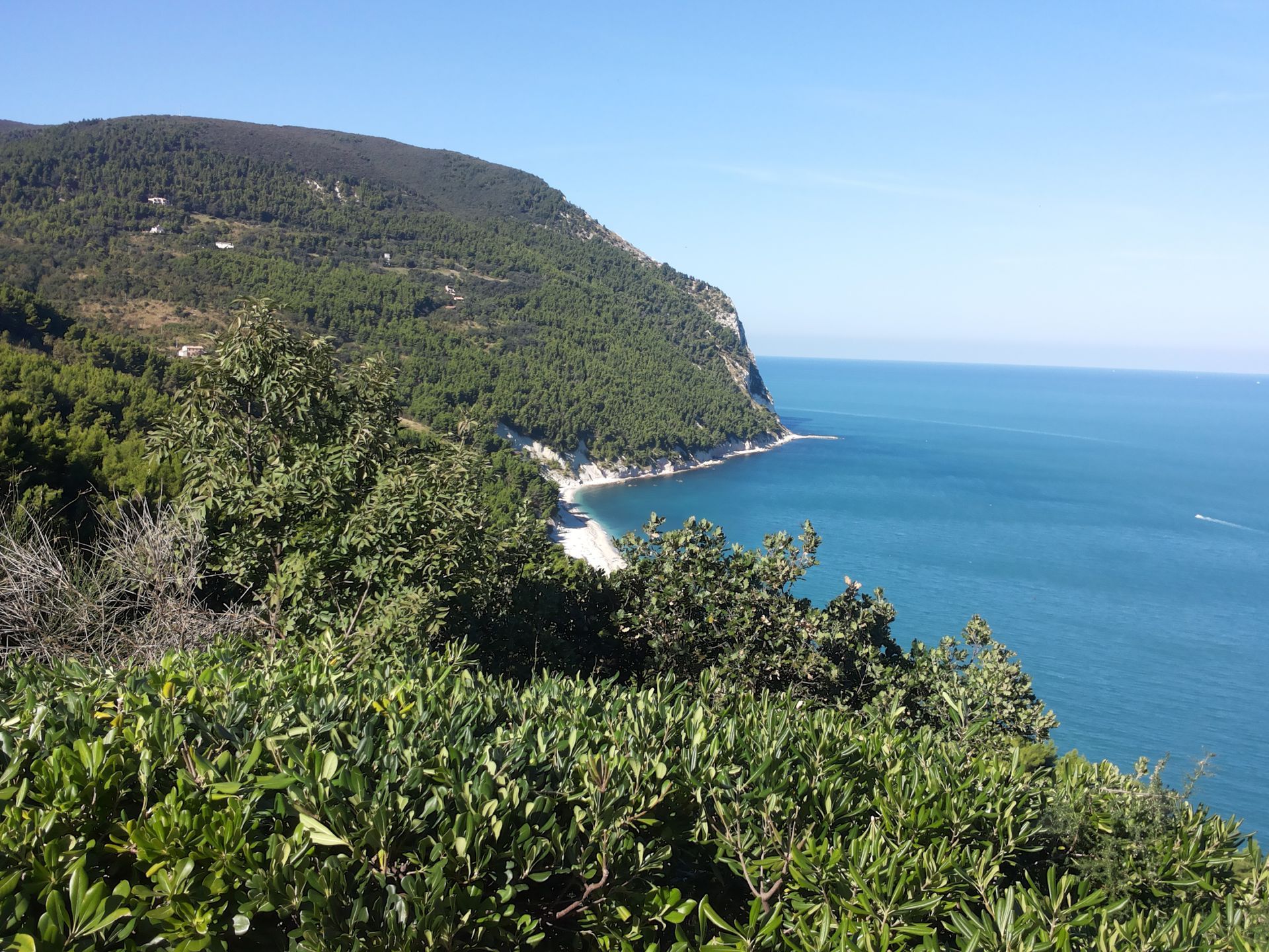 monte conero