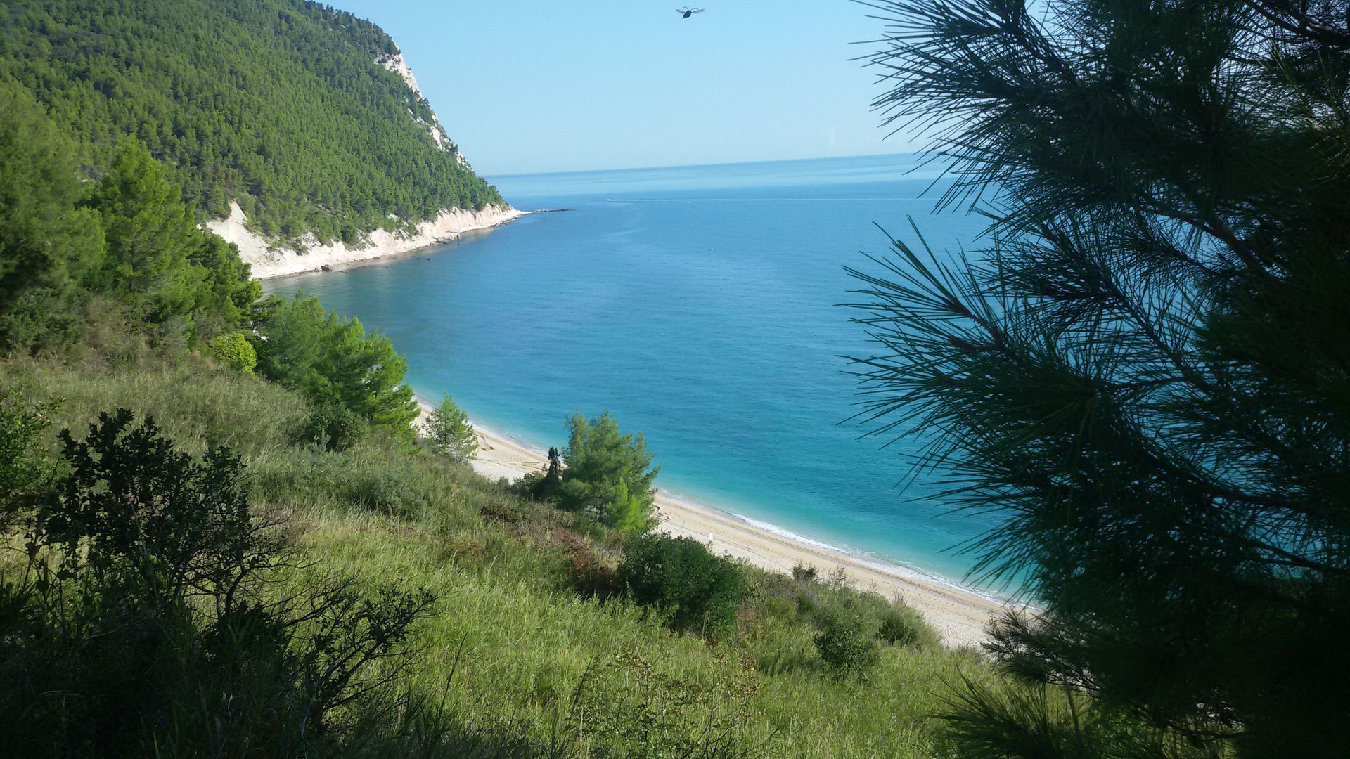 vista dal loft