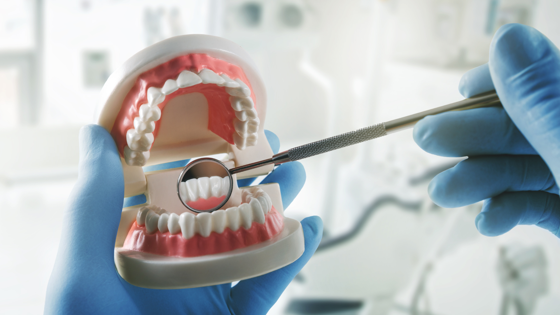Dentist's gloved hand holding a dental mirror examines teeth in a model mouth.