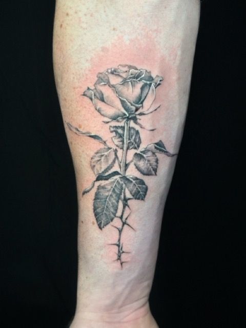 Black and white rose tattoo on forearm, with stem and thorns.