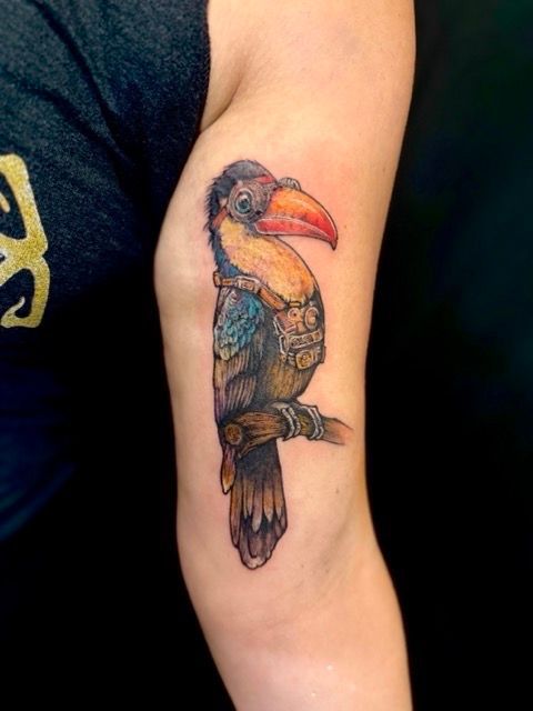 Colorful toucan tattoo on the upper arm