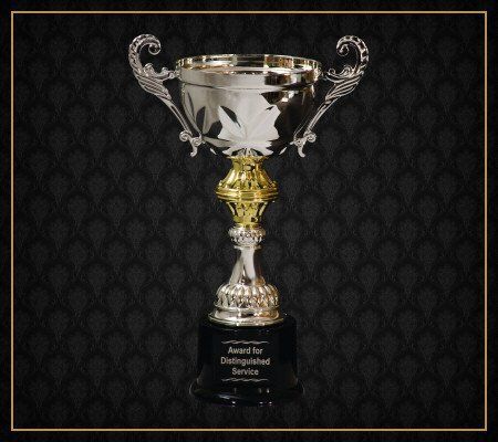 A silver and gold trophy that says award for distinguished service