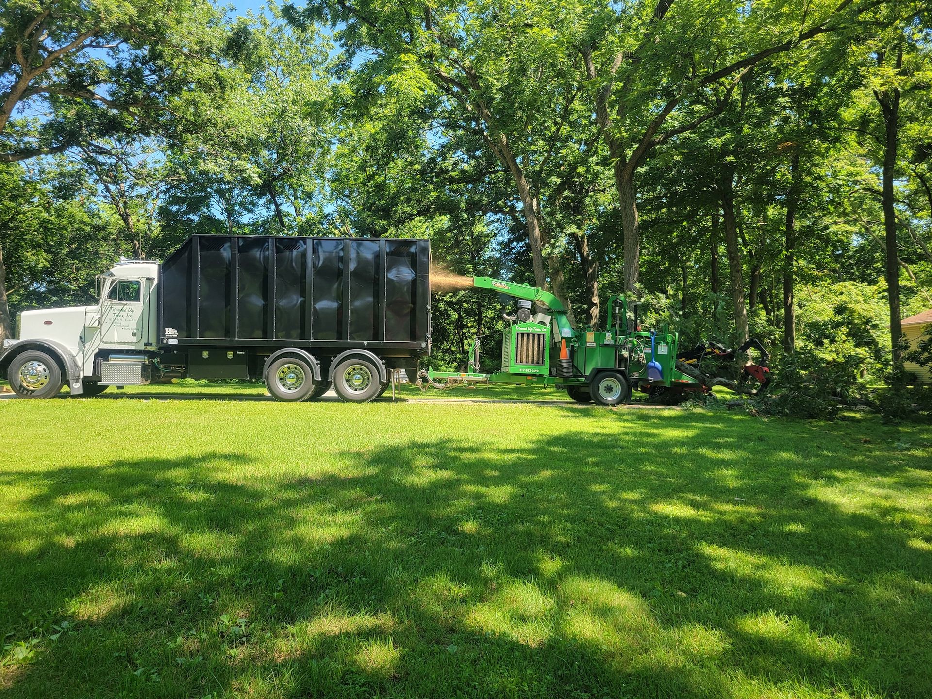 Truck loading wood chips from a chipper in a grassy yard, trees in the background.