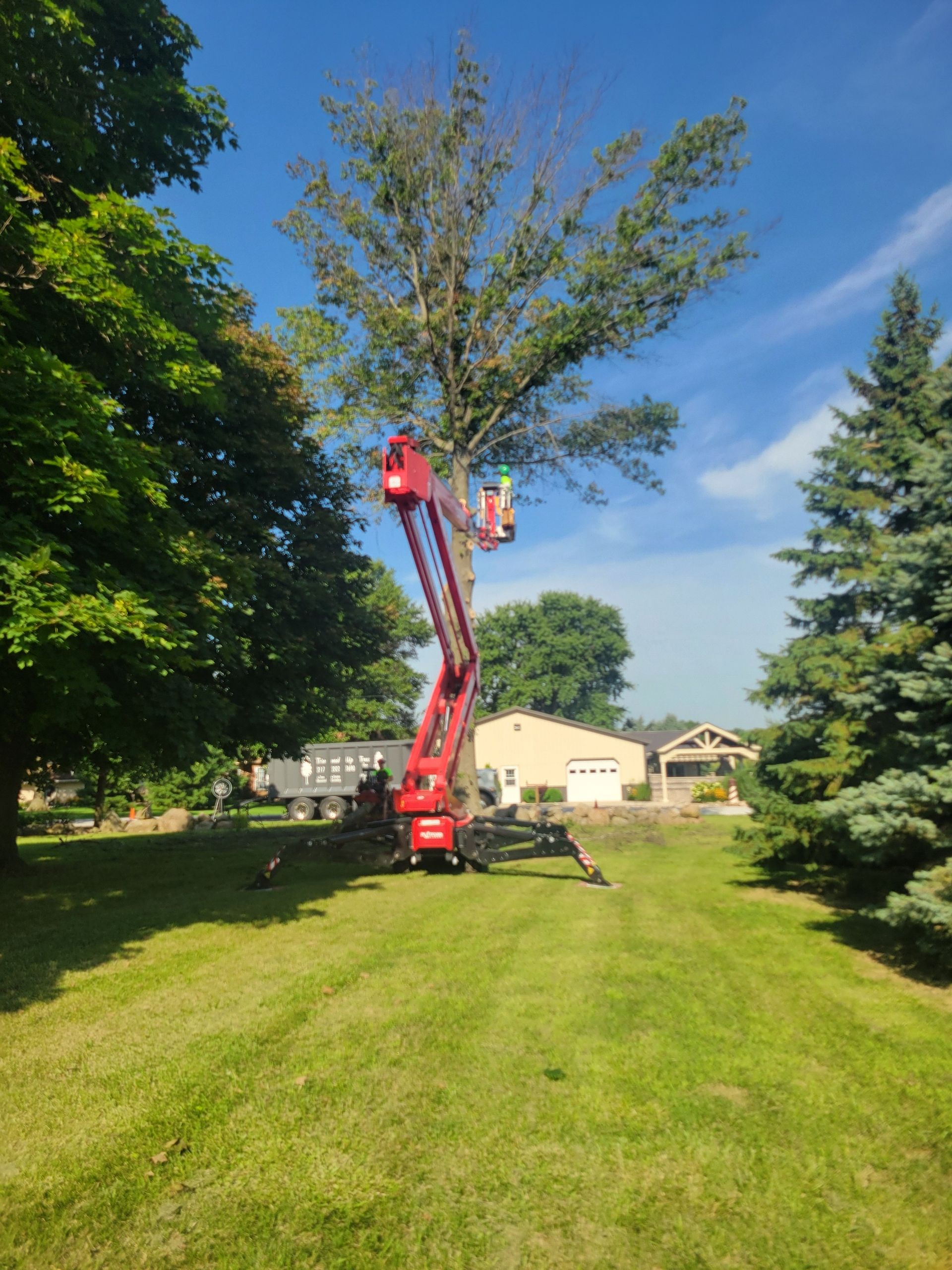 A tree service worker in a red lift truck trimming a tall tree on a sunny day.