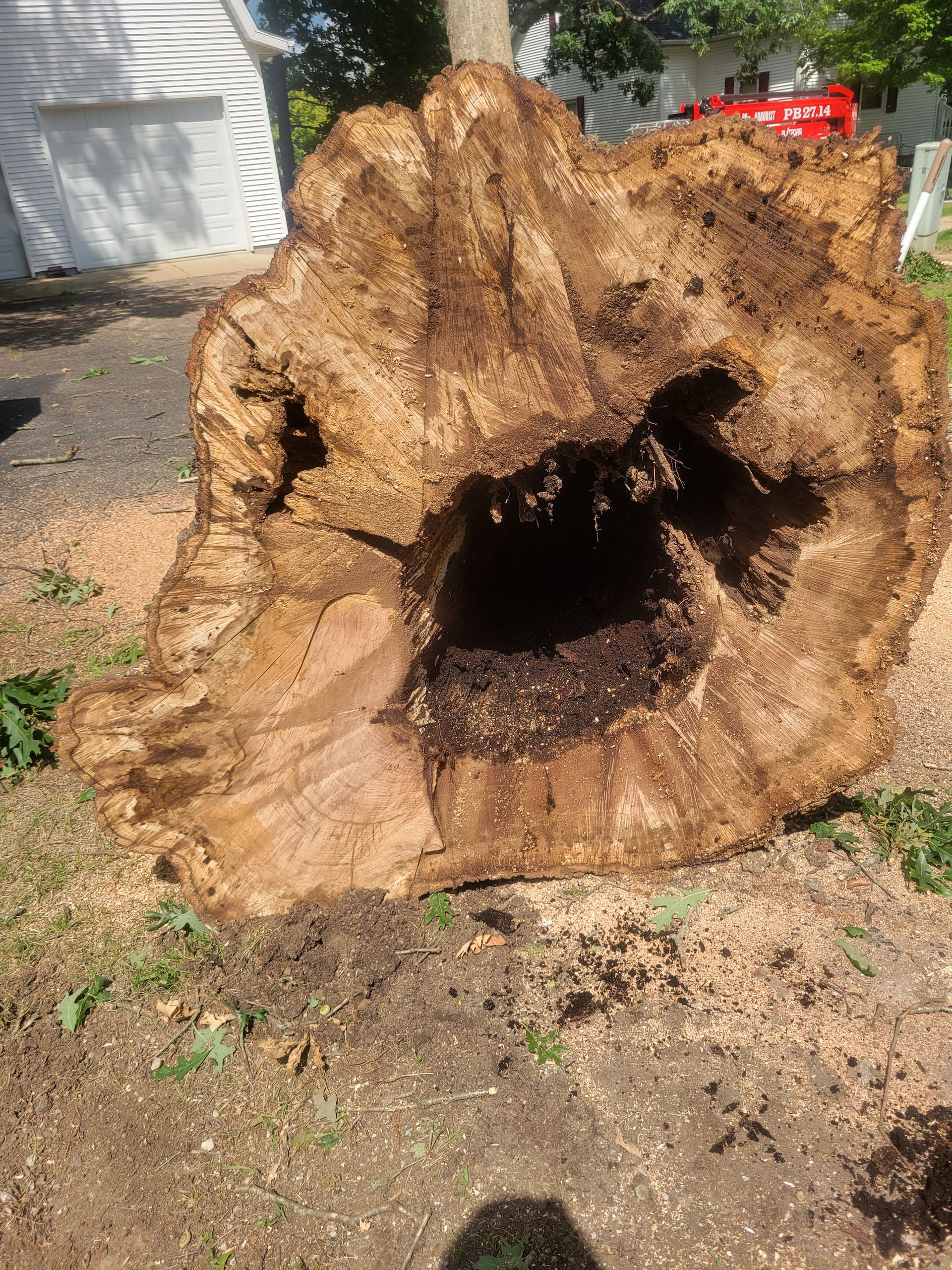 Large tree stump with a hollow center, on grass, next to a house.