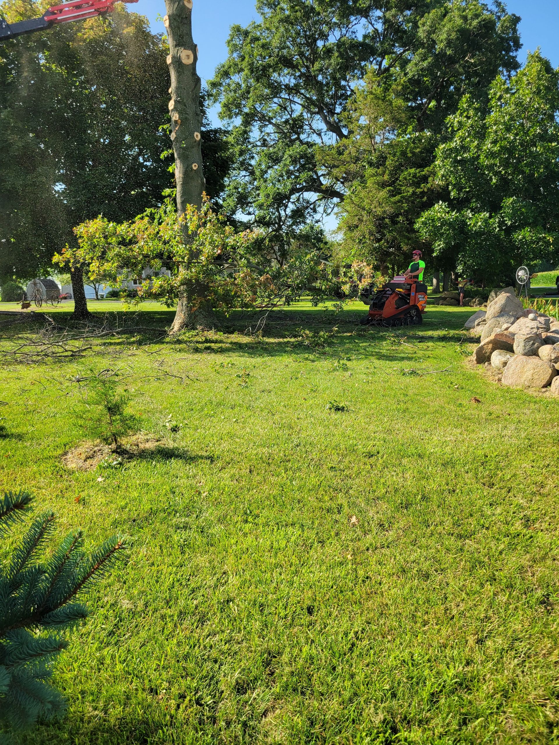 Lawn being mowed in a sunny yard, with trees and rocks in the background.