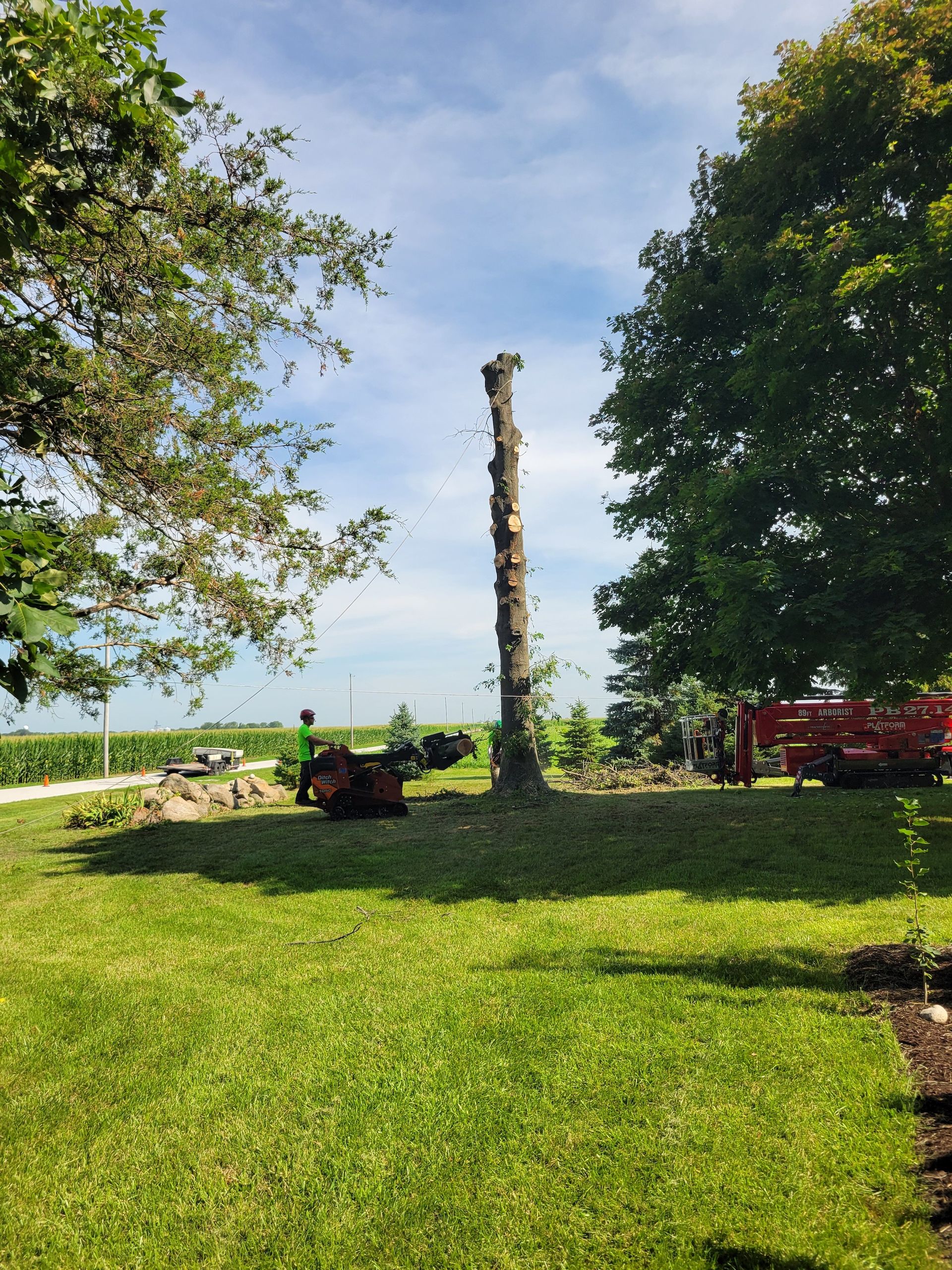 Tree trunk remaining after tree removal on green lawn with equipment and trees nearby.