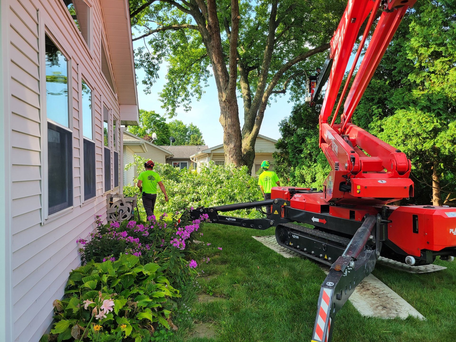 Tree removal crew using a red lift near a house, cutting branches. Two workers in green shirts.