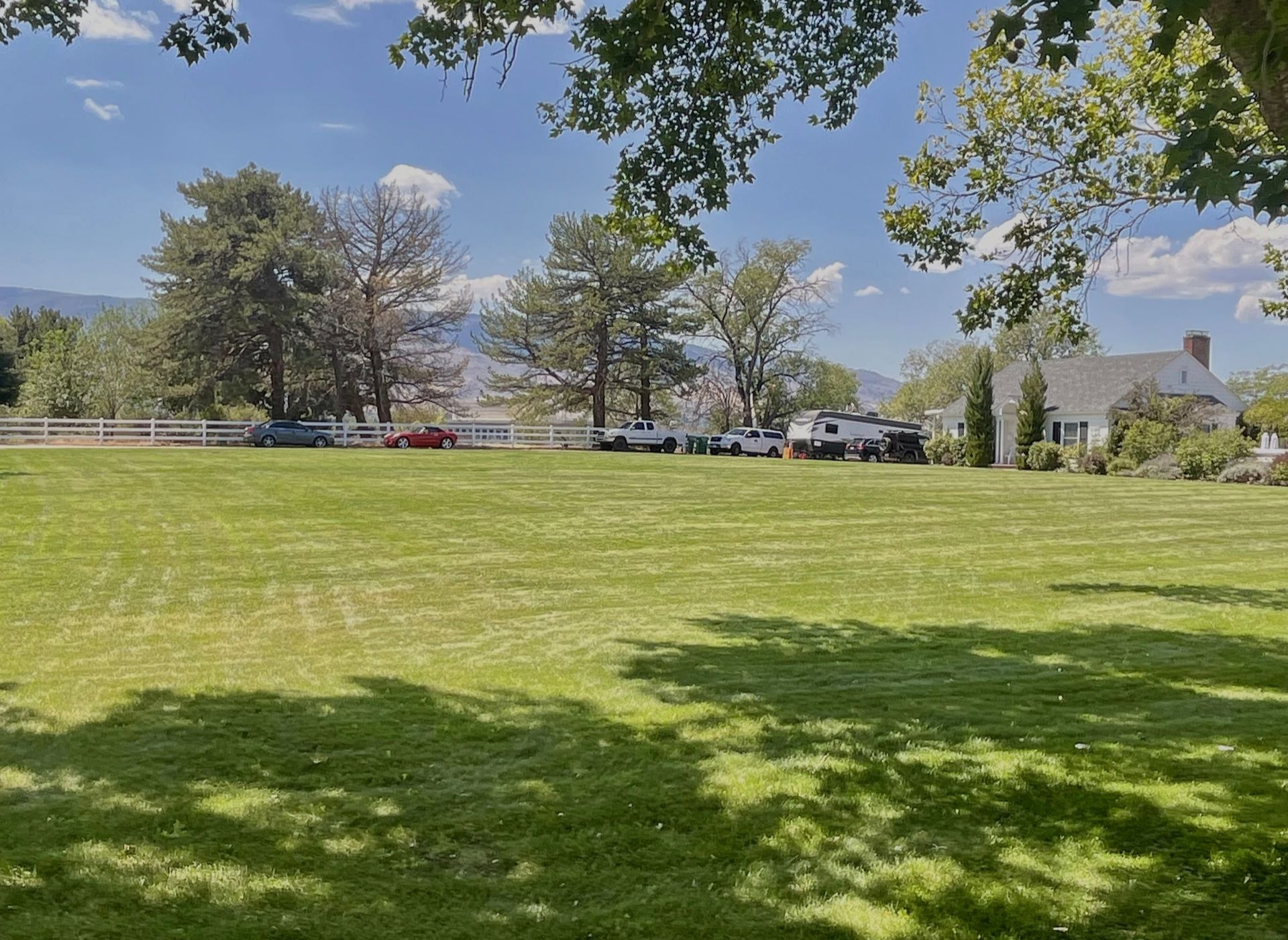 Lush green lawn with trees, white fence, and a white house under a blue sky with clouds. Cars parked in the distance.