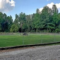 Grassy field behind a chain-link fence, bordered by trees under a partly cloudy sky