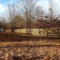 Wooden fence running through a leaf-covered field with bare trees in the background under a blue sky