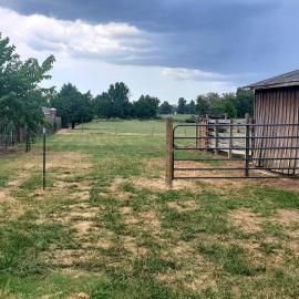 Grassy paddock with a metal gate and wooden barn under a cloudy sky
