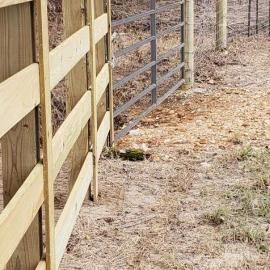 Wooden and metal fences lining a dry, grassy path in a rural area